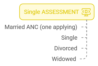 Debt Review Application Single